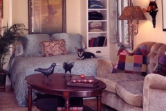 cottage_design